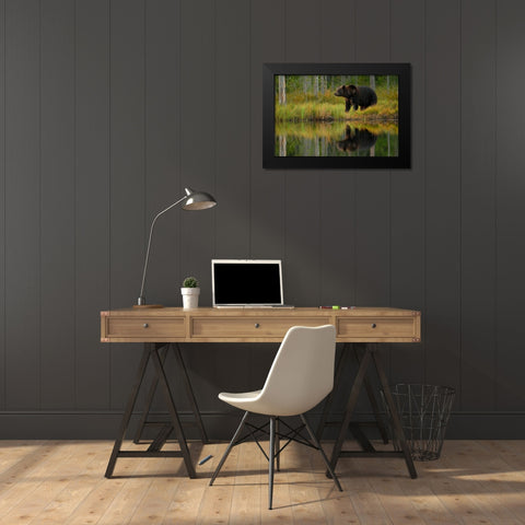 Bear and fish Black Modern Wood Framed Art Print by Gavra, Assaf