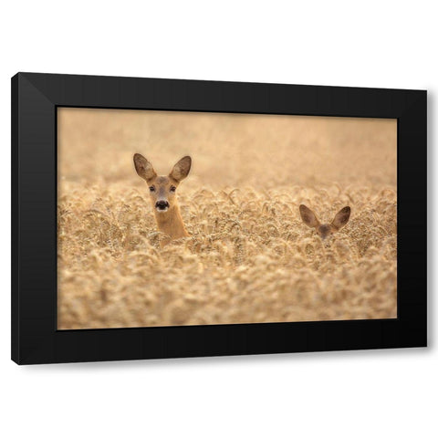Mother with child Black Modern Wood Framed Art Print with Double Matting by Wallberg, Allan