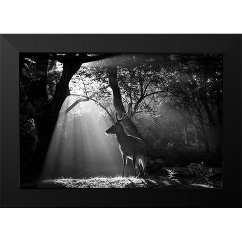 Light and Deer Black Modern Wood Framed Art Print by Matsui, Yoshinori