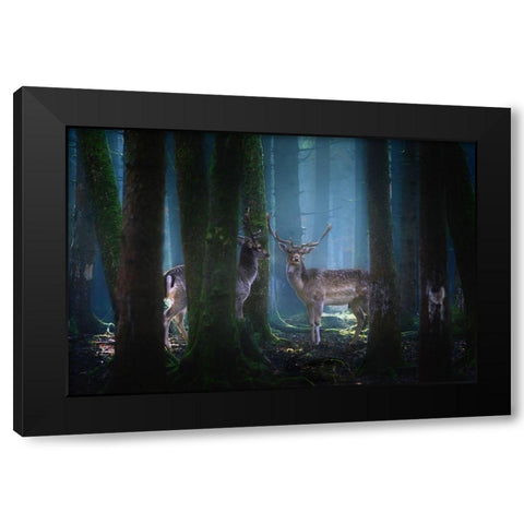 Deers Black Modern Wood Framed Art Print by Aurednik, Patrick