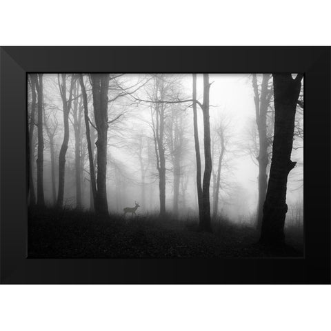 Forest Black Modern Wood Framed Art Print by Nisan Kandilcioglu, Ummu