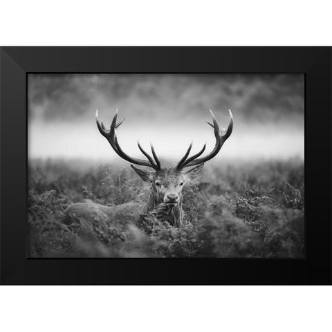 Majestic Black Modern Wood Framed Art Print by Fabrowski, Robert