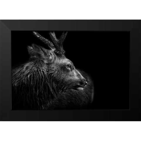 Looking back Black Modern Wood Framed Art Print by Itoyama, Eiji