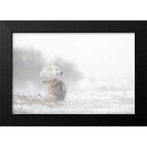 Hard times Black Modern Wood Framed Art Print by Pozzi, Marco