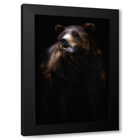 Brown bear portrait Black Modern Wood Framed Art Print with Double Matting by Pascual Buye, Santiago