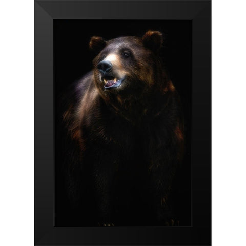 Brown bear portrait Black Modern Wood Framed Art Print by Pascual Buye, Santiago