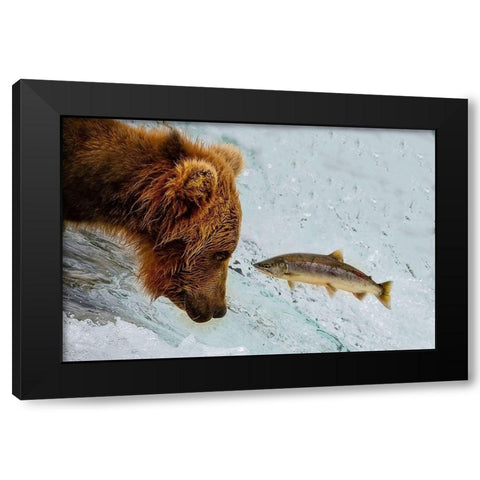 Eye to Eye Black Modern Wood Framed Art Print with Double Matting by Tao, Liwen