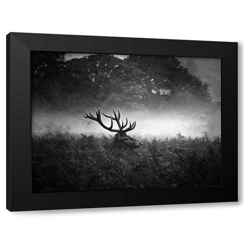 Prince Black Modern Wood Framed Art Print with Double Matting by Fabrowski, Robert