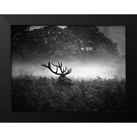 Prince Black Modern Wood Framed Art Print by Fabrowski, Robert