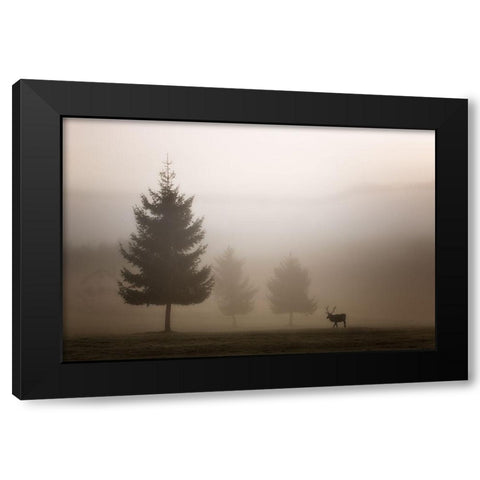 Looking for Love Black Modern Wood Framed Art Print by Bruna, Marco