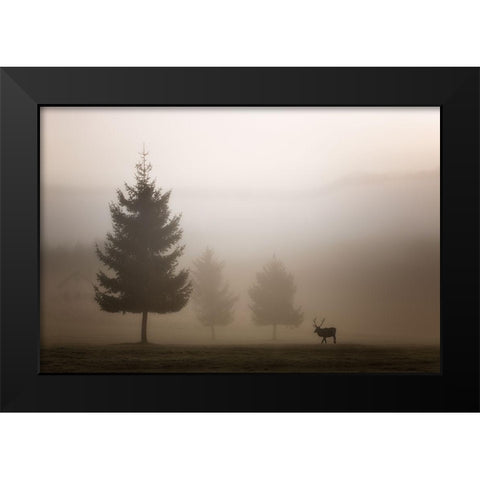 Looking for Love Black Modern Wood Framed Art Print by Bruna, Marco