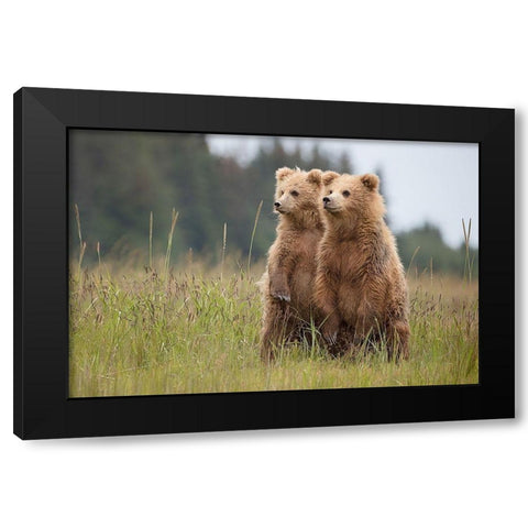 Standing Tall Black Modern Wood Framed Art Print by Doyle, Renee