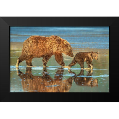 Heading for home Black Modern Wood Framed Art Print by Sink, Jeffrey C