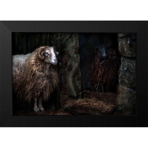 The sheep shed Black Modern Wood Framed Art Print by Pascual Buye, Santiago
