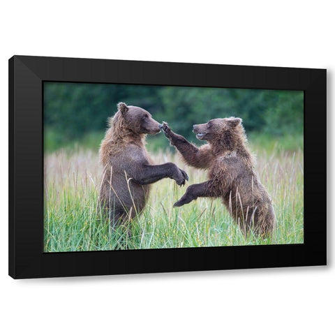 Hold Still Black Modern Wood Framed Art Print with Double Matting by Hao Jiang,