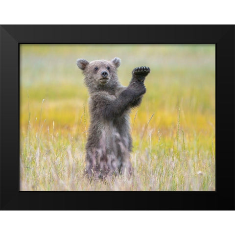 A little conductor Black Modern Wood Framed Art Print by Hao Jiang,