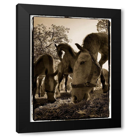 Chow Time Black Modern Wood Framed Art Print with Double Matting by Malovrh, Milan