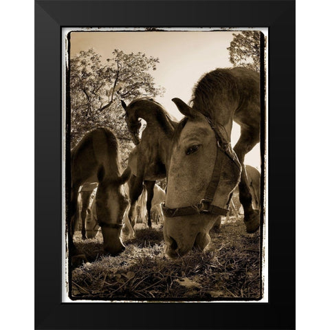 Chow Time Black Modern Wood Framed Art Print by Malovrh, Milan