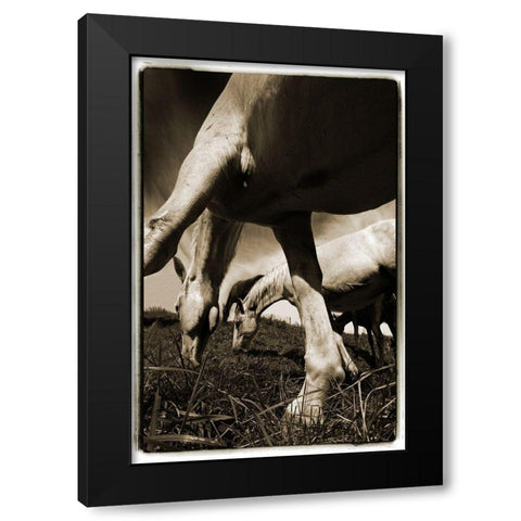 Promenade 2 Black Modern Wood Framed Art Print by Malovrh, Milan