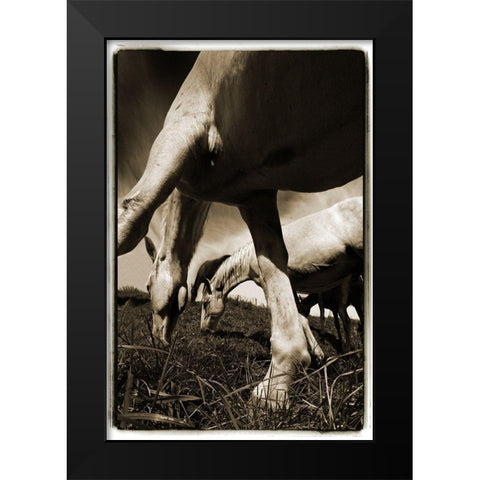 Promenade 2 Black Modern Wood Framed Art Print by Malovrh, Milan