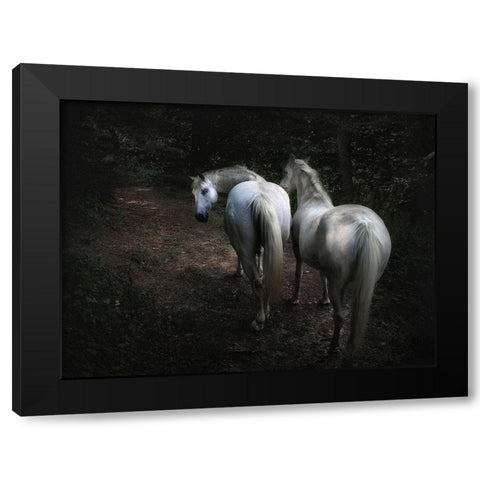 Come Black Modern Wood Framed Art Print with Double Matting by Droste, Holger