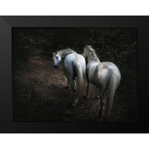 Come Black Modern Wood Framed Art Print by Droste, Holger