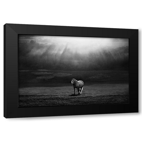 Morning Appearance Black Modern Wood Framed Art Print with Double Matting by Svoboda MQEP, Peter