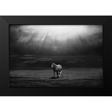 Morning Appearance Black Modern Wood Framed Art Print by Svoboda MQEP, Peter