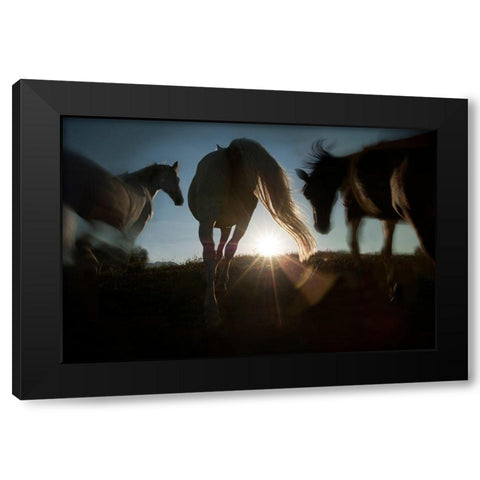 Sunrise Black Modern Wood Framed Art Print with Double Matting by Malovrh, Milan