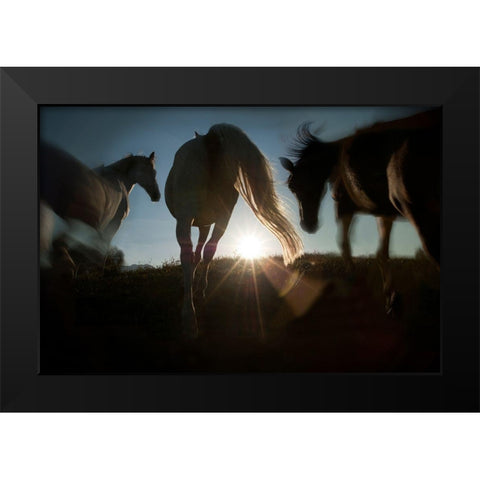 Sunrise Black Modern Wood Framed Art Print by Malovrh, Milan