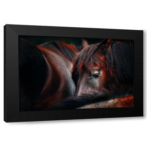 Sleep huddle Black Modern Wood Framed Art Print with Double Matting by Stantchev, Martin