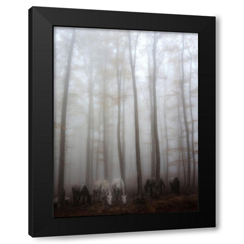 Fog Black Modern Wood Framed Art Print with Double Matting by Martini, Francesco