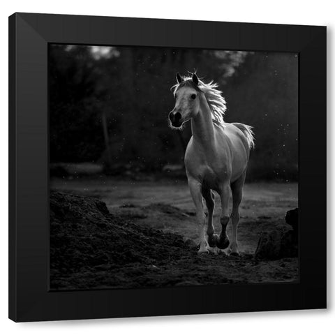 Coquetry Black Modern Wood Framed Art Print with Double Matting by Al-Saeed, Abdullah