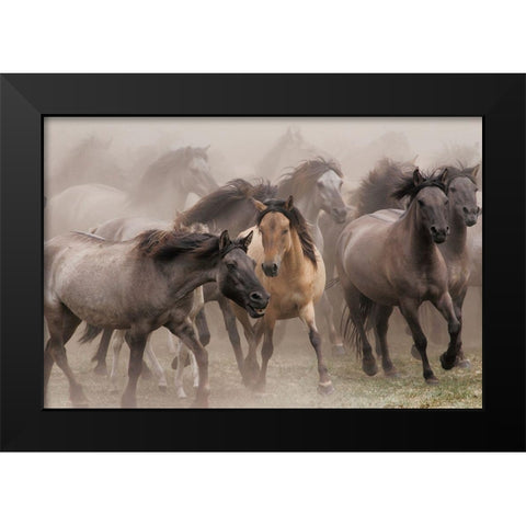Wild Horses Black Modern Wood Framed Art Print by Uhlig, Dieter