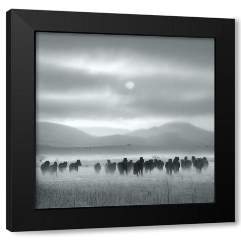 Toward the Sun Black Modern Wood Framed Art Print by Yang, Shu-Guang