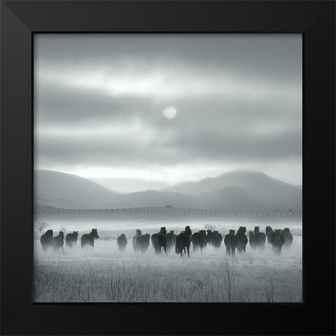 Toward the Sun Black Modern Wood Framed Art Print by Yang, Shu-Guang