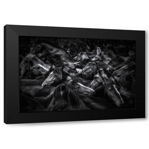 Acorralados Black Modern Wood Framed Art Print by Maseda Varela, Alfonso