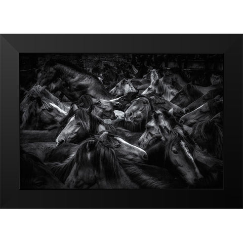 Acorralados Black Modern Wood Framed Art Print by Maseda Varela, Alfonso
