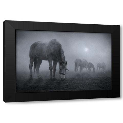 Moonlit Black Modern Wood Framed Art Print by Malach, Samuel