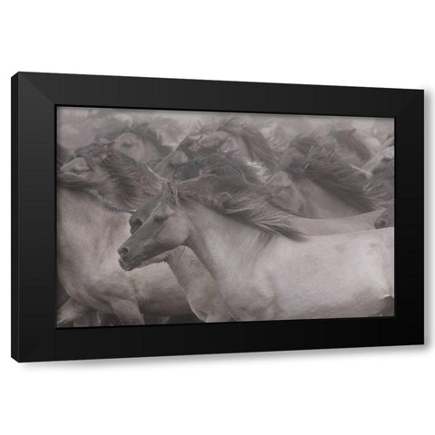 Wildhorses Black Modern Wood Framed Art Print with Double Matting by Uhlig, Dieter