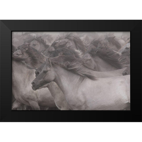 Wildhorses Black Modern Wood Framed Art Print by Uhlig, Dieter