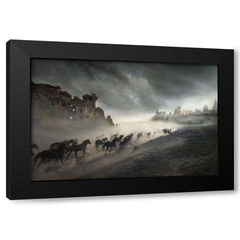 Migration Black Modern Wood Framed Art Print with Double Matting by Taskin, Huseyin