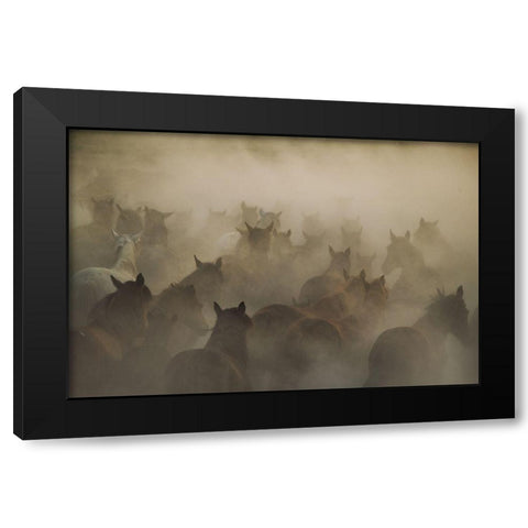 In Dust Black Modern Wood Framed Art Print with Double Matting by Taskin, Huseyin