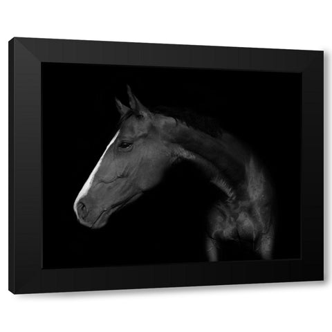 My horse Black Modern Wood Framed Art Print by Kogel, Wieteke de