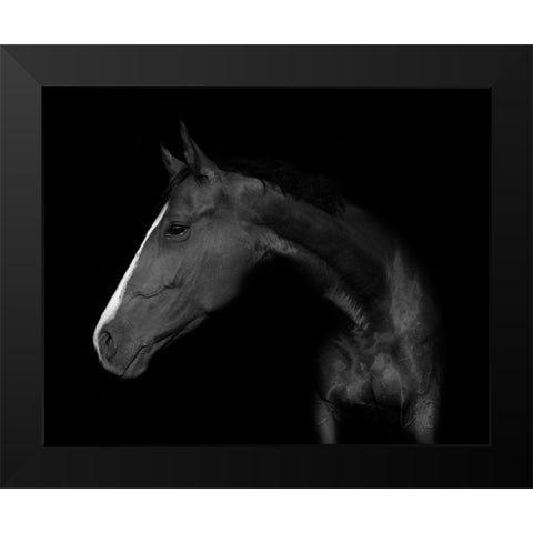 My horse Black Modern Wood Framed Art Print by Kogel, Wieteke de