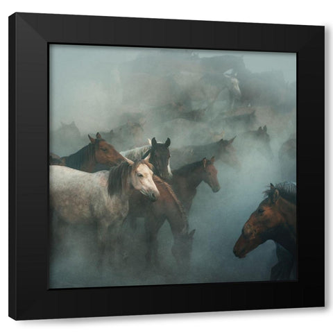 Lost Horses Black Modern Wood Framed Art Print by Taskin, Huseyin