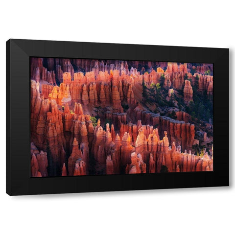 Bryce Canyon at Sunset Black Modern Wood Framed Art Print by Austin