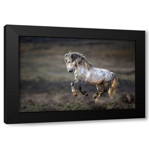 Wild Wild West Black Modern Wood Framed Art Print by Verdon