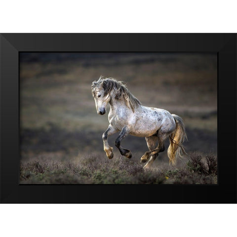 Wild Wild West Black Modern Wood Framed Art Print by Verdon