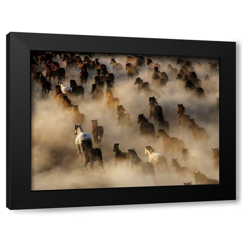 Wild horses Black Modern Wood Framed Art Print by Bedir, Mehmet